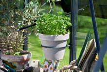 Juliana urtepotteholder